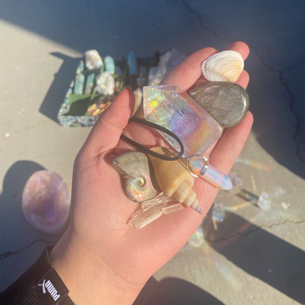 ✨Crystal & Shell Lot